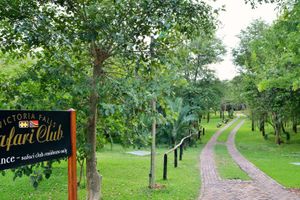 Alojamiento - Victoria Falls Safari Club