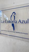 Alquiler Vacacional - Chic-1 bed apt inside lux condo w/wifi, AC, pool, tropical gardens!