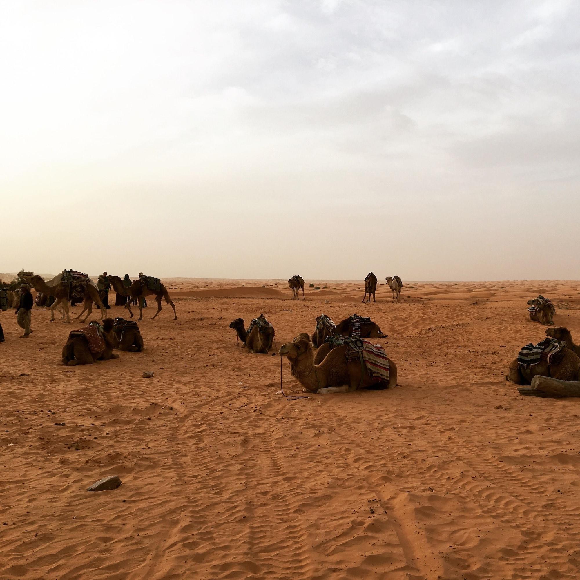 Instalaciones Recreativas Résidence La Source