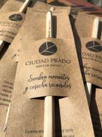 Alojamiento - Ciudad Prado Hotel