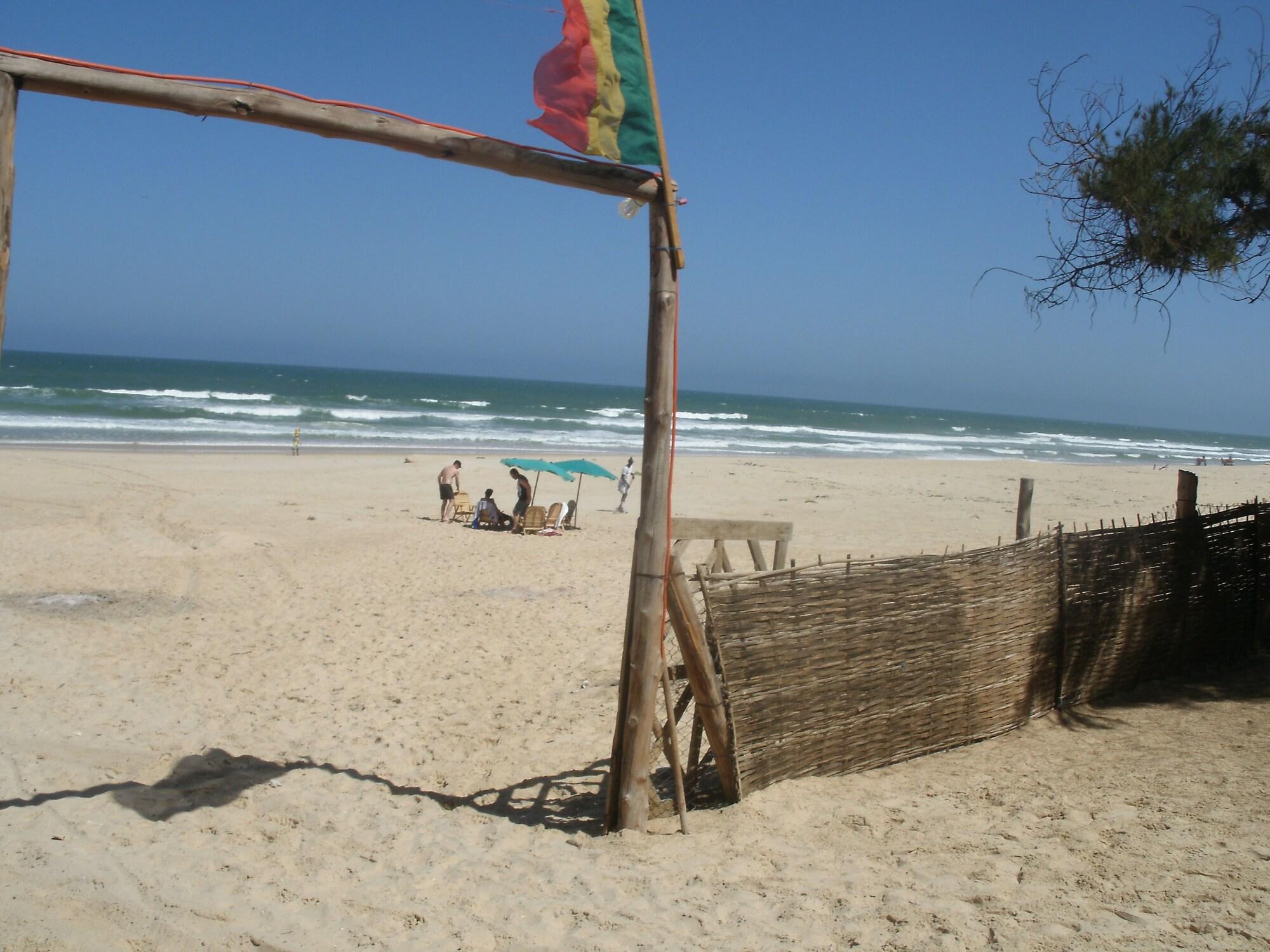 Playa Africa Roots