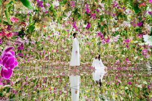 Actividad - Entrada a TeamLab Planets TOKYO DMM