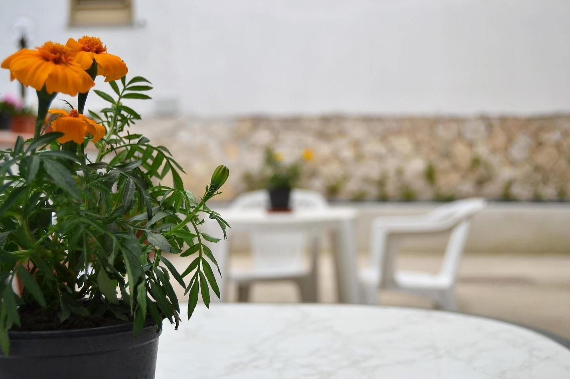 Restaurant B&B Il Girasole