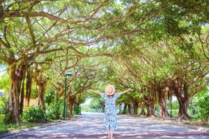 Alojamiento - Hotel Nikko Alivila