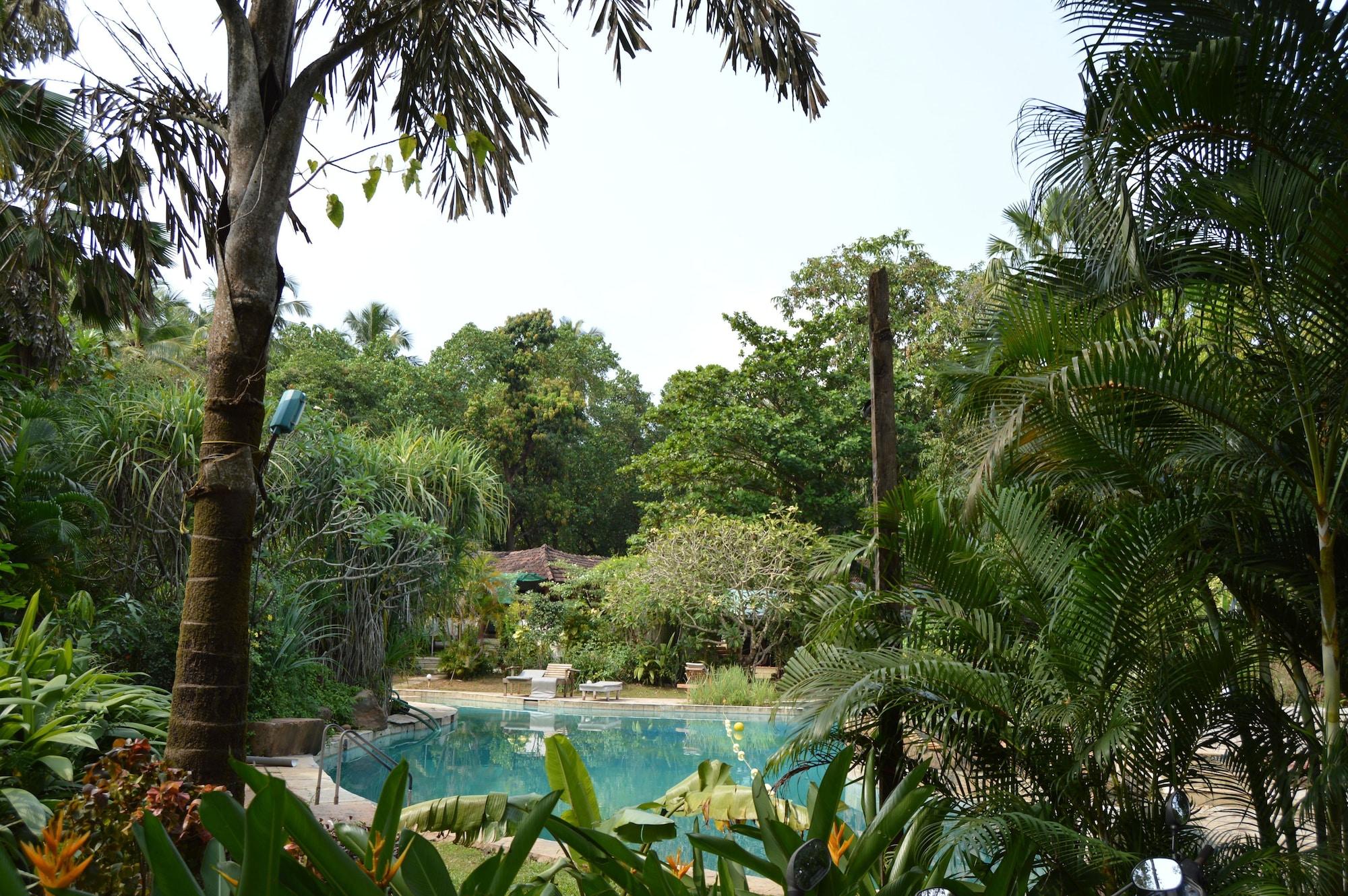 Vista Piscina Laguna Anjuna