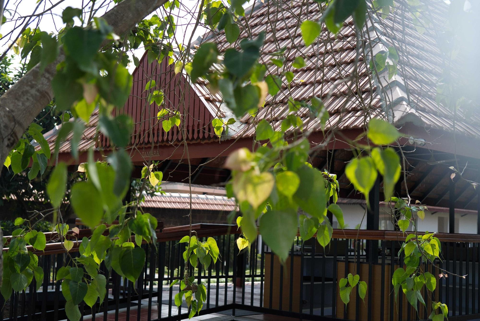 Habitación Vedic Village Retreat Alleppey