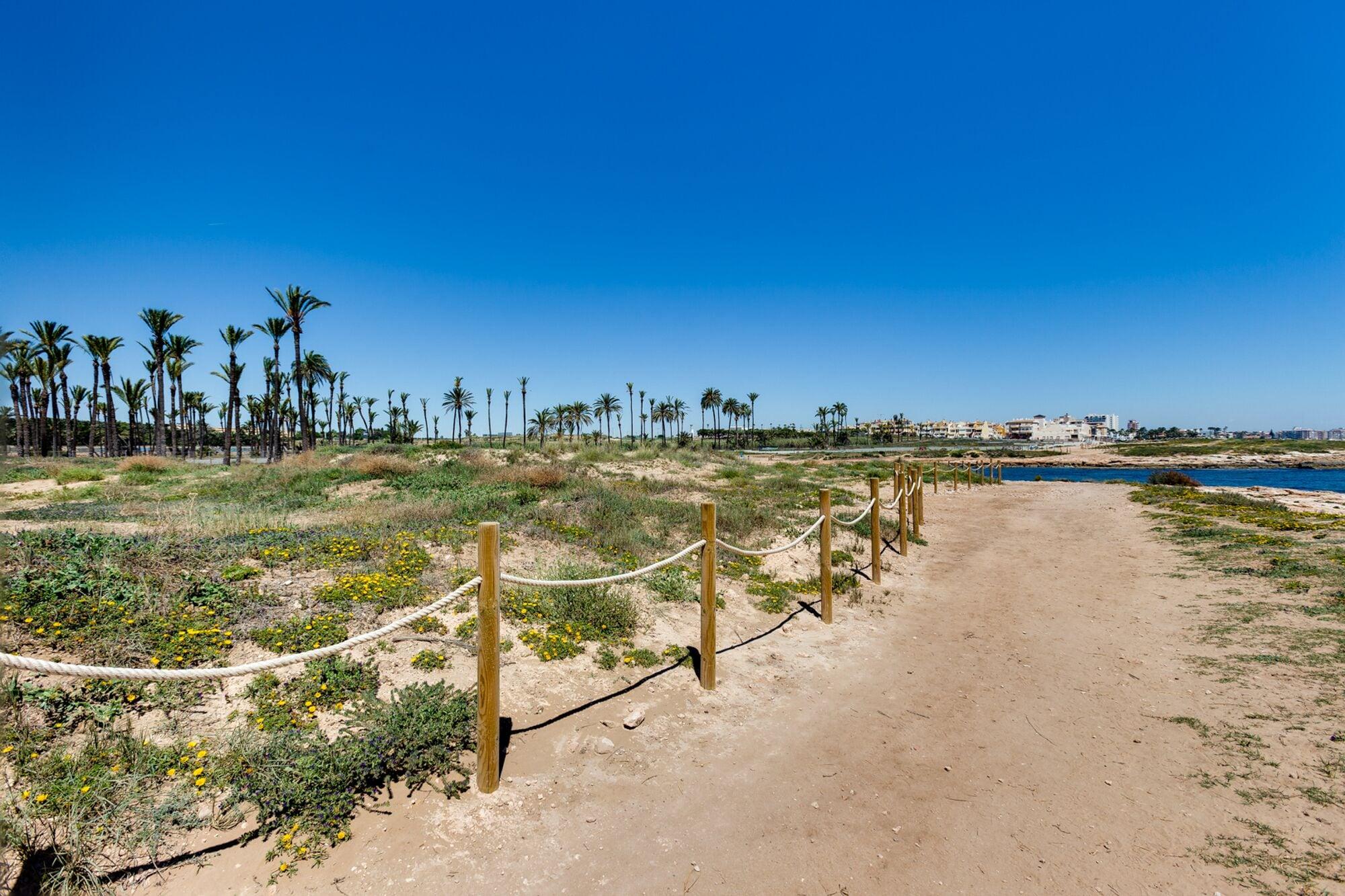 Playa ApartHotel Atlas