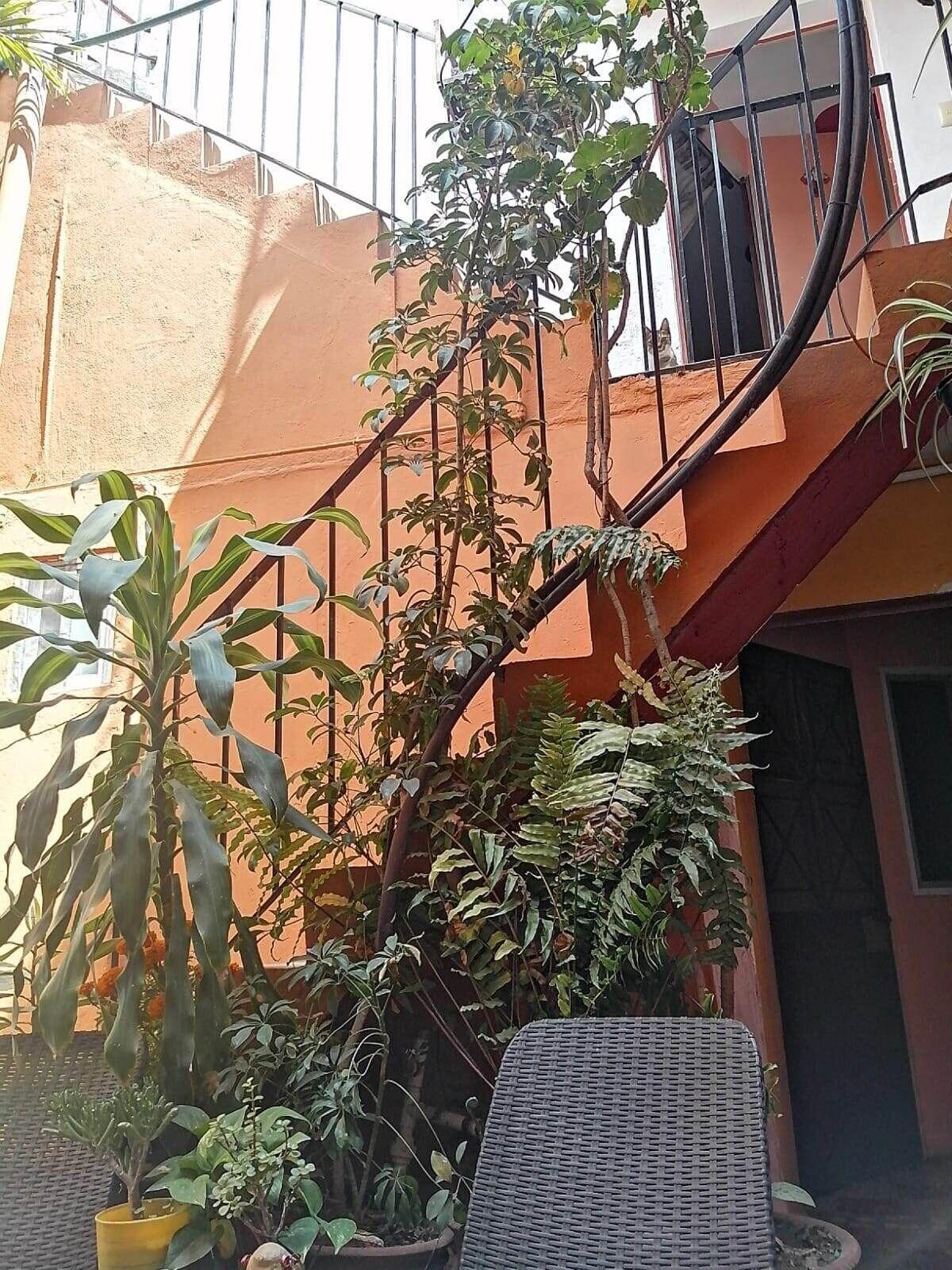 Varios Posada Xochitl