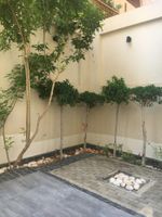 Alojamiento - Sakan 275