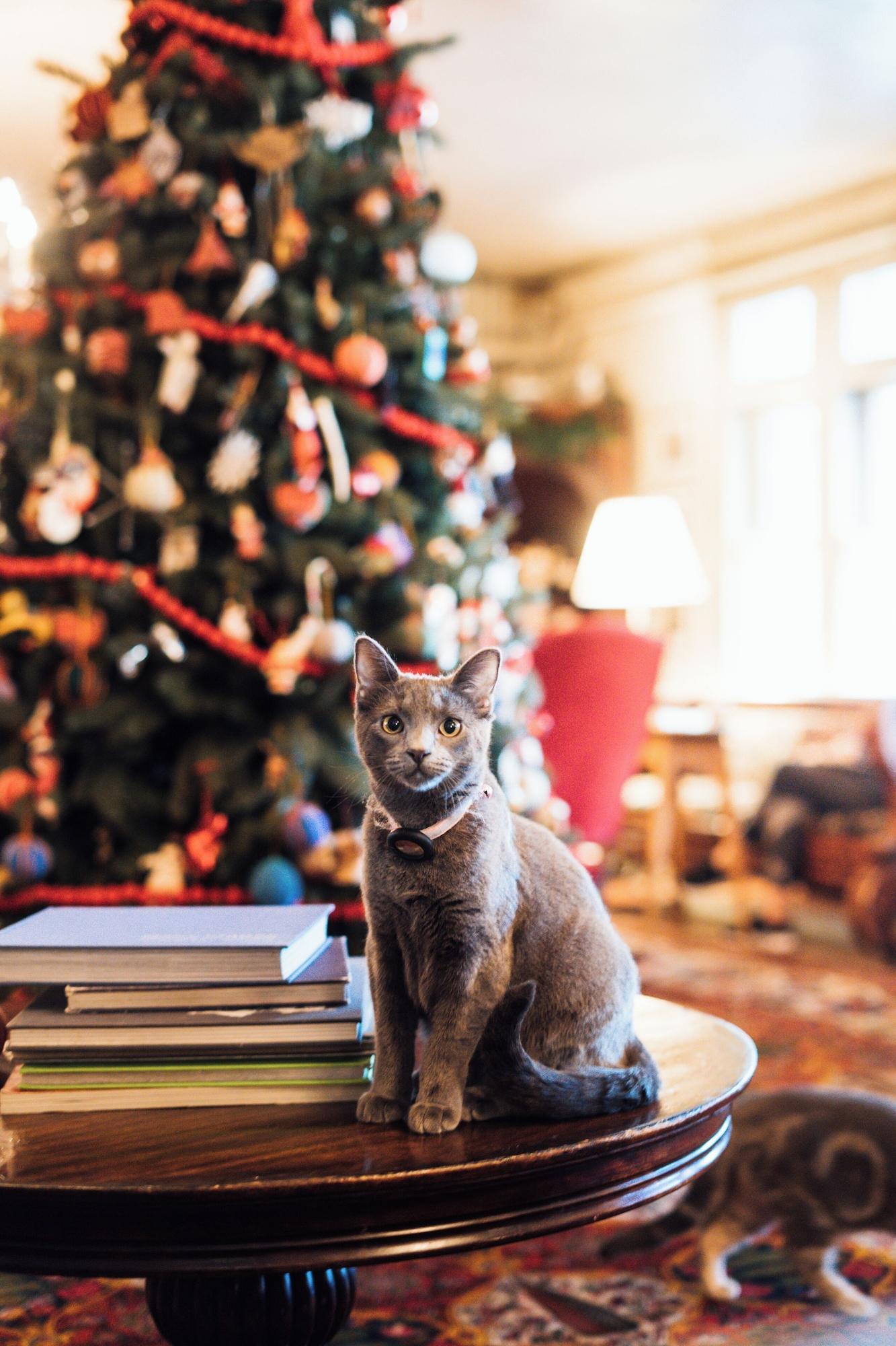 Vista Lobby The Red Lion Inn