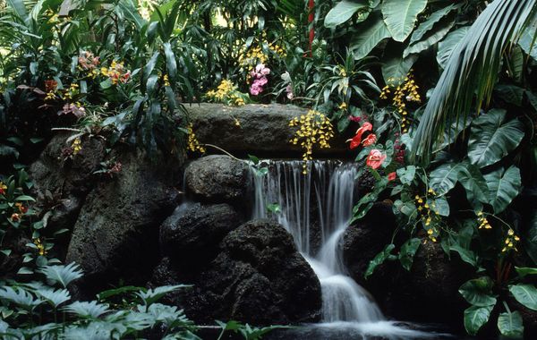 Disney's Polynesian Village Resort - Hoteles cerca de Magic Kingdom en Orlando