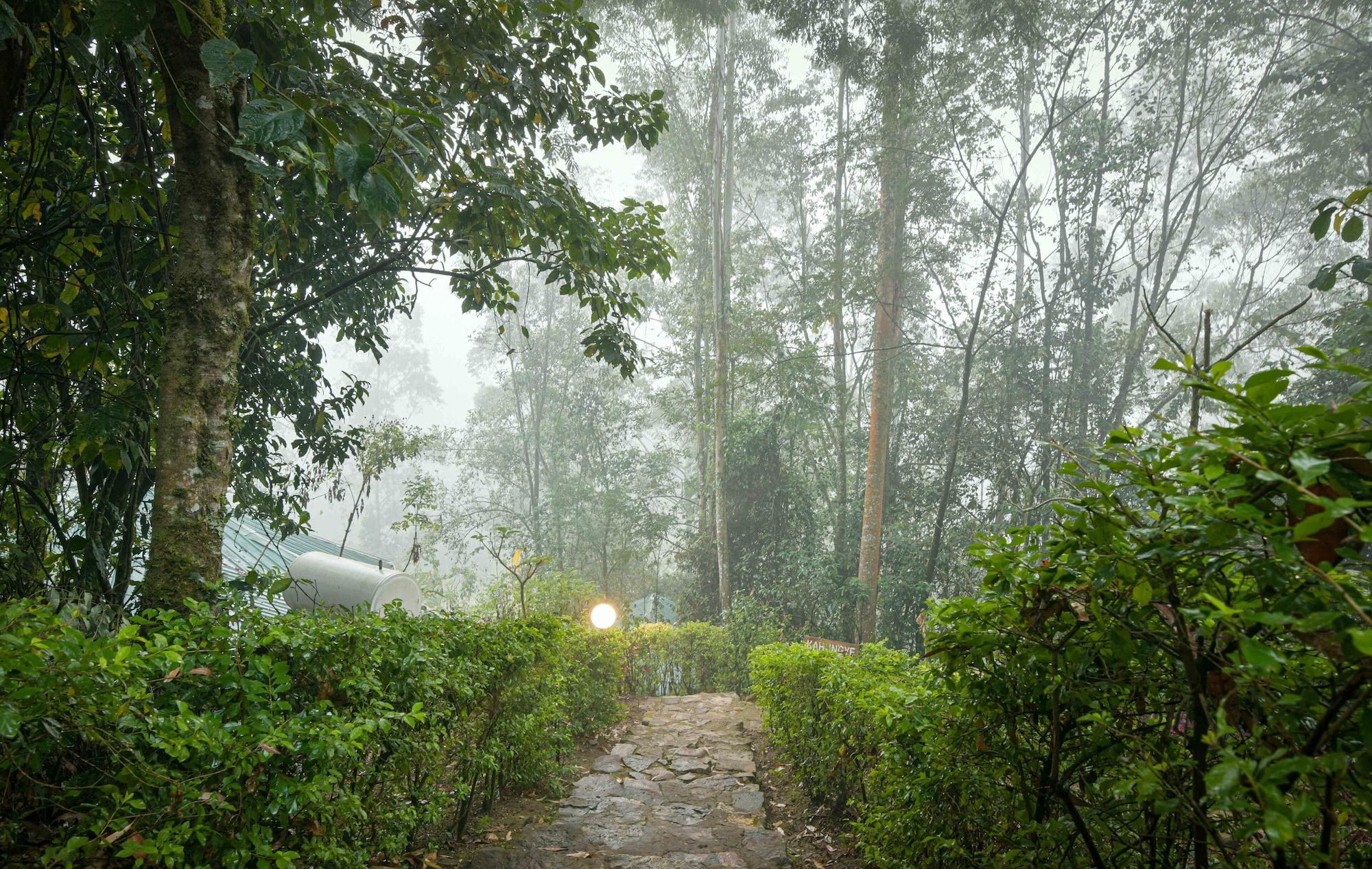 Vista Exterior Gorilla Safari Lodge