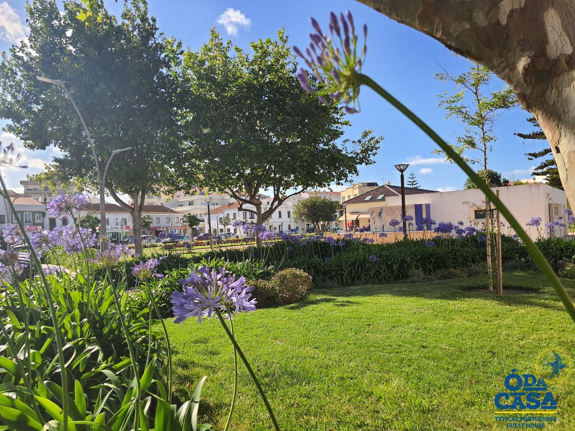 Vista Exterior Ó da Casa-Typical Portuguese Guest House