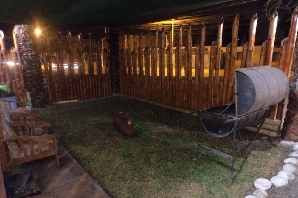 Instalaciones Recreativas Hostal Sumac