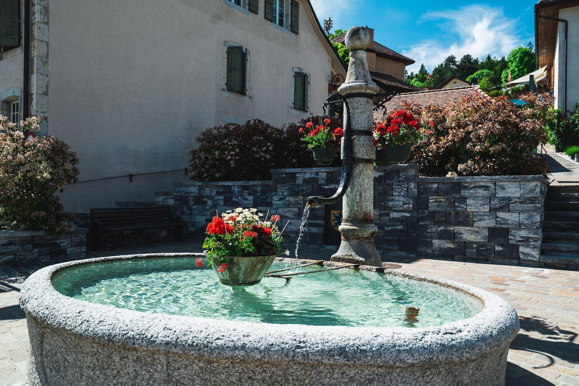 Vista Exterior Hotel-Restaurant La Croix d'Or