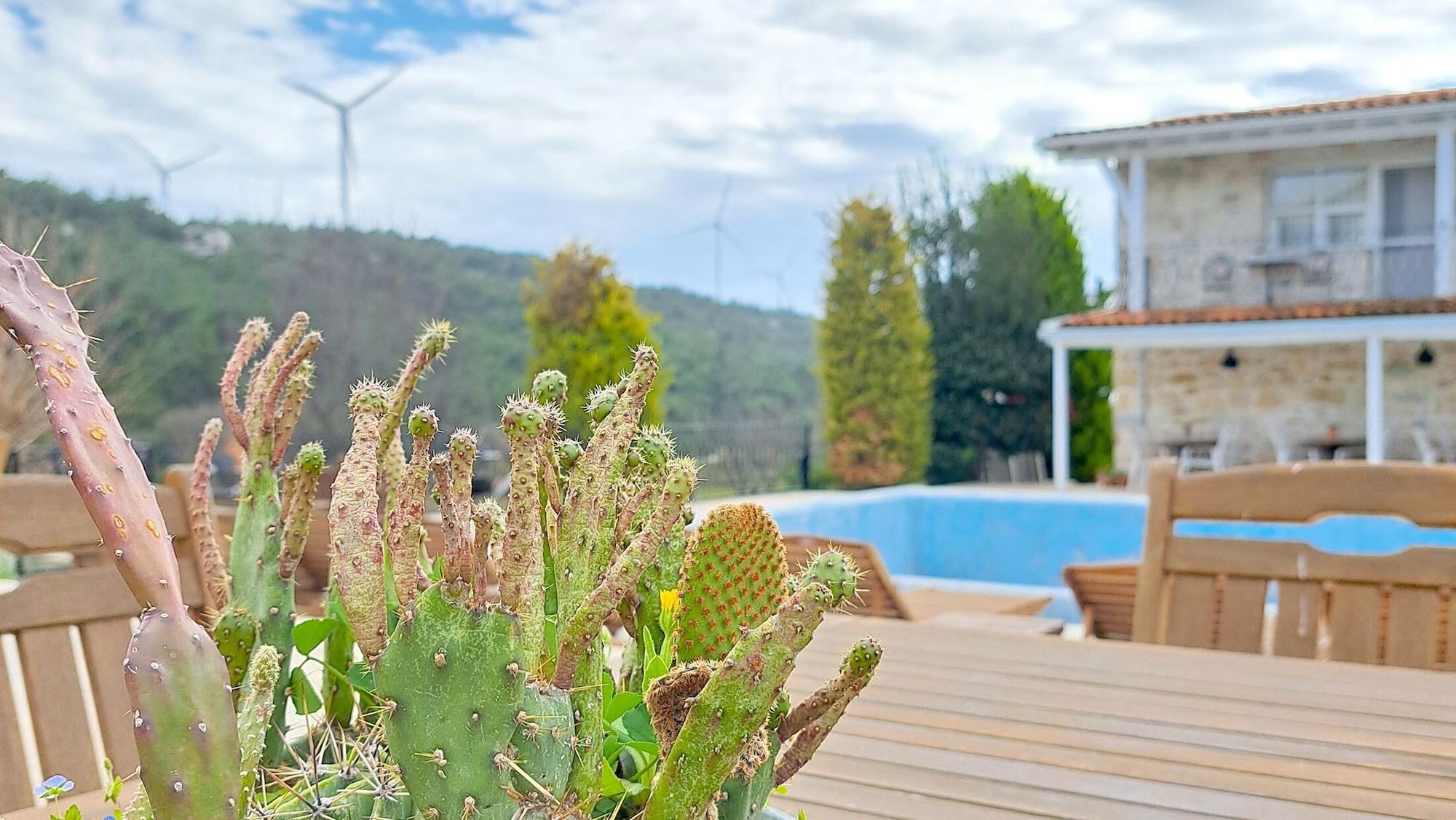 Vista Exterior Otel Naturla Göl Evi