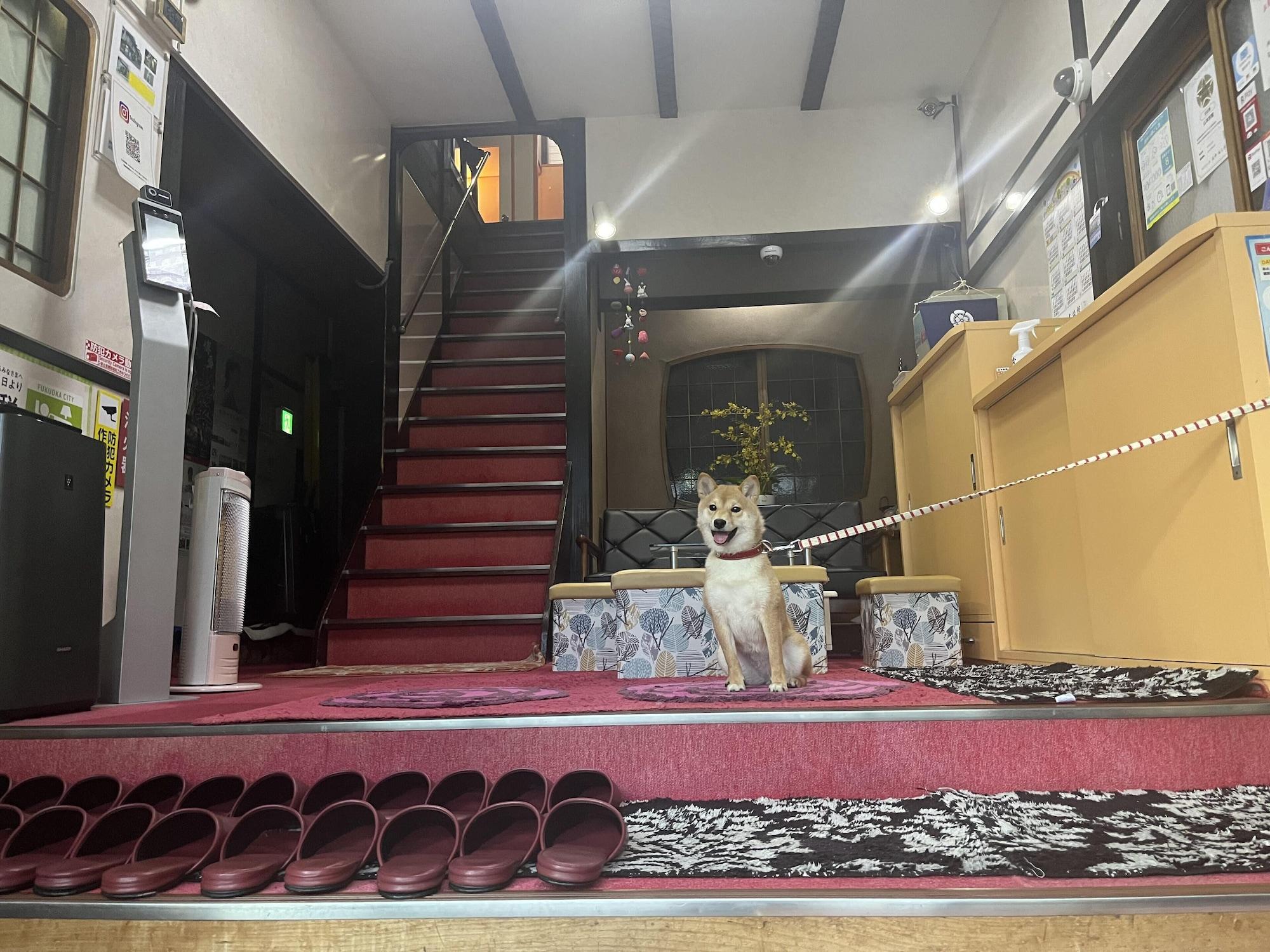 Vista Lobby Yamamoto Ryokan