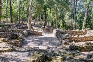 Actividad - Visita guiada por el Castro de Santomé