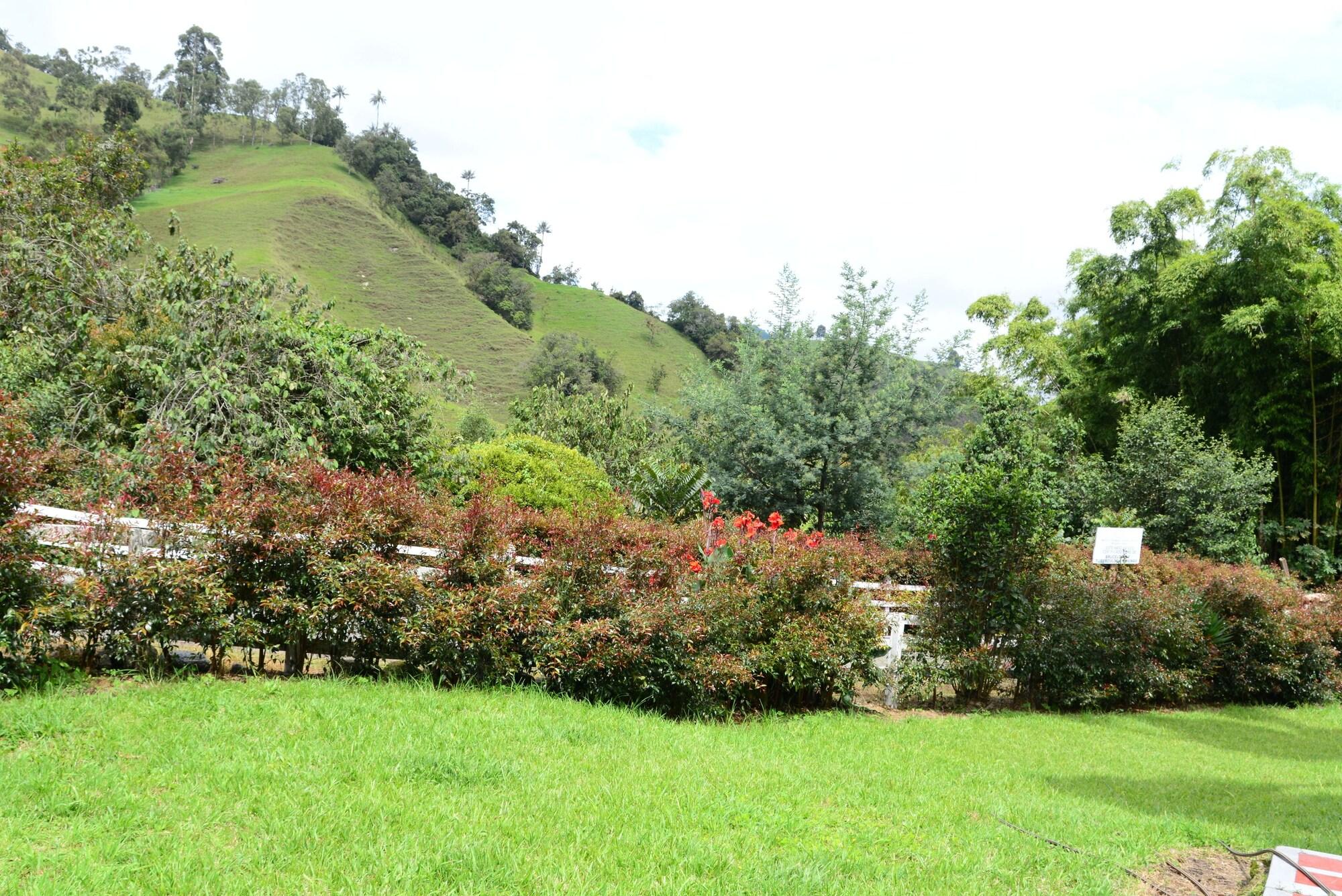 Vista Exterior Ecohotel Pinohermoso