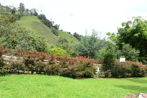 Alojamiento - Ecohotel Pinohermoso