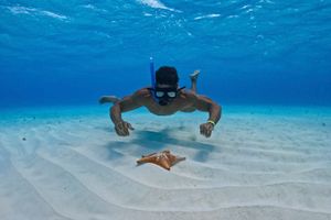Actividad - El Cielo Cozumel: Snorkel + Lunch, en Lancha Rápida