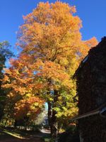 Alojamiento - Howarth House B&B