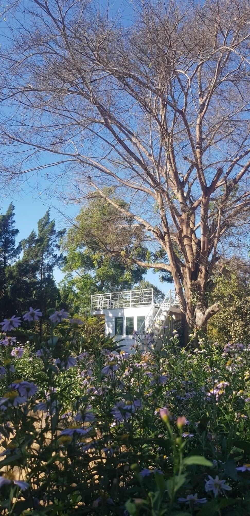 Restaurant Sainamtok Resort