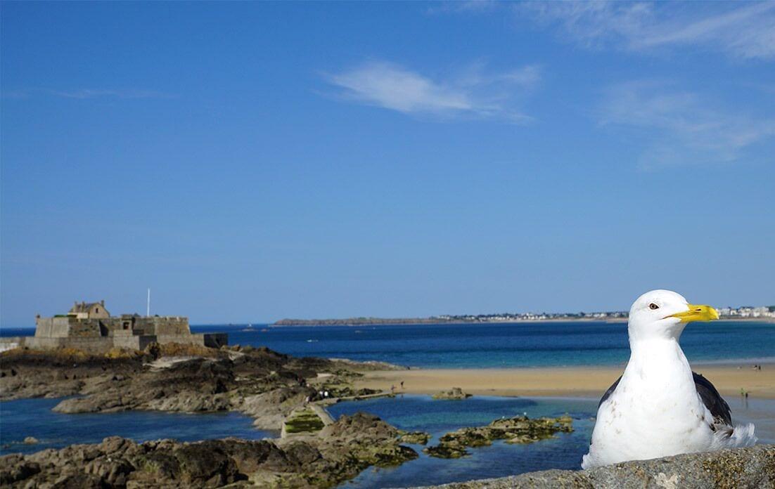 Playa B&B HOTEL Saint-Malo Sud