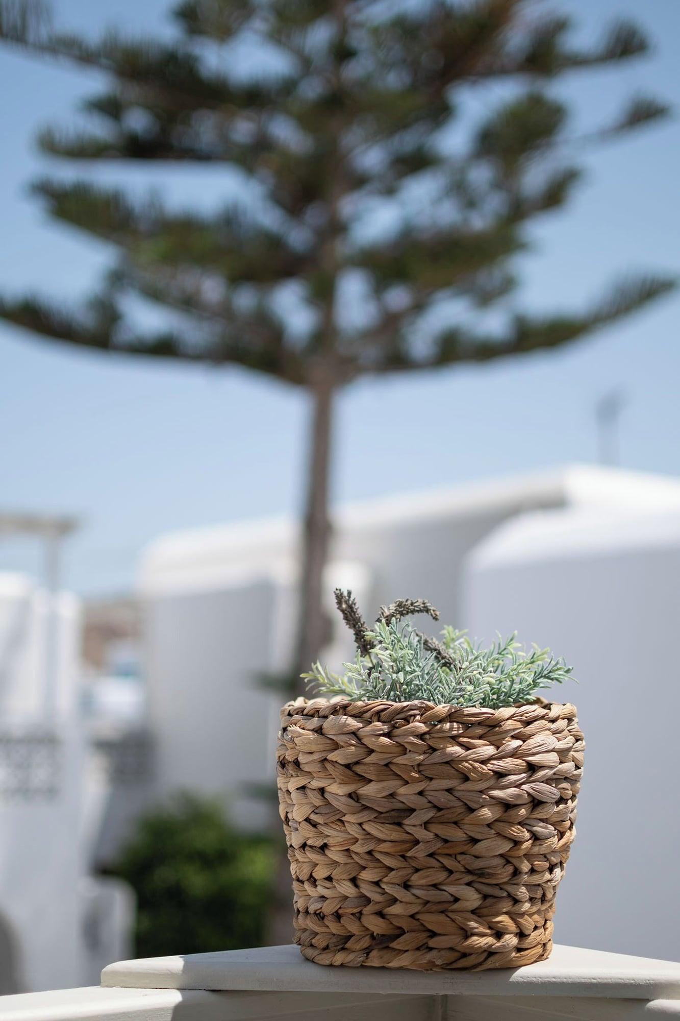 Vista Exterior Mykonos Twins