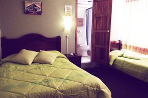 Alojamiento - Hostal Terra 4
