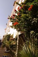 Alojamiento - Hotel La Residence