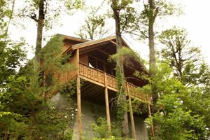 Alquiler Vacacional - Bear Necessities by Jackson Mountain Rentals