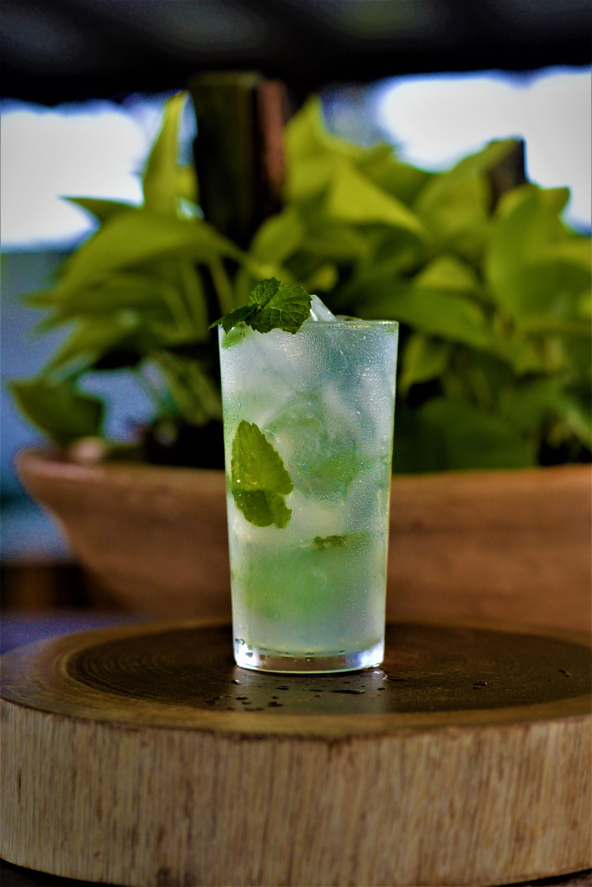 Bar/Salón Pousada Spadart