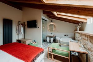 Alquiler Vacacional - Boutique Palacio Condes de Cirac