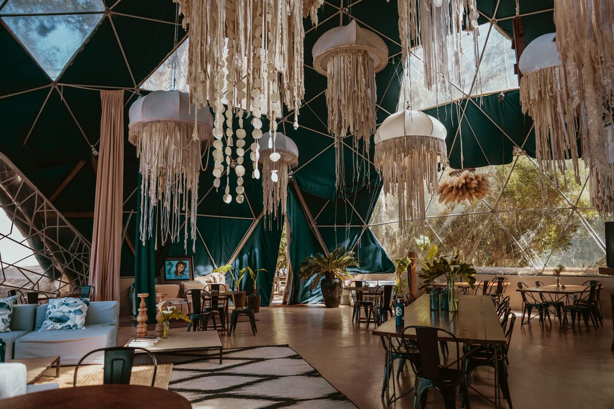 Restaurant Big Bang Nature Stays