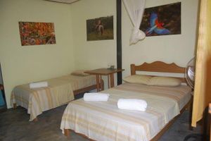 Alojamiento - Sachamama Ecolodge