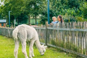 Alquiler Vacacional - Modern Eco-villa Near the Veluwemeer