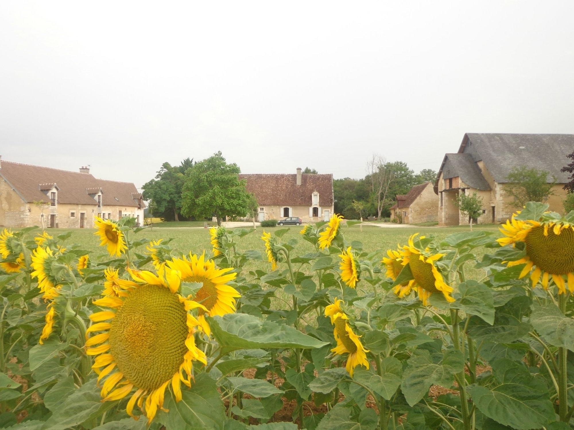 Vista Exterior Chambres d'Hotes du Guillot