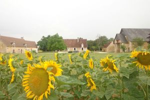 Alojamiento - Chambres d'Hotes du Guillot