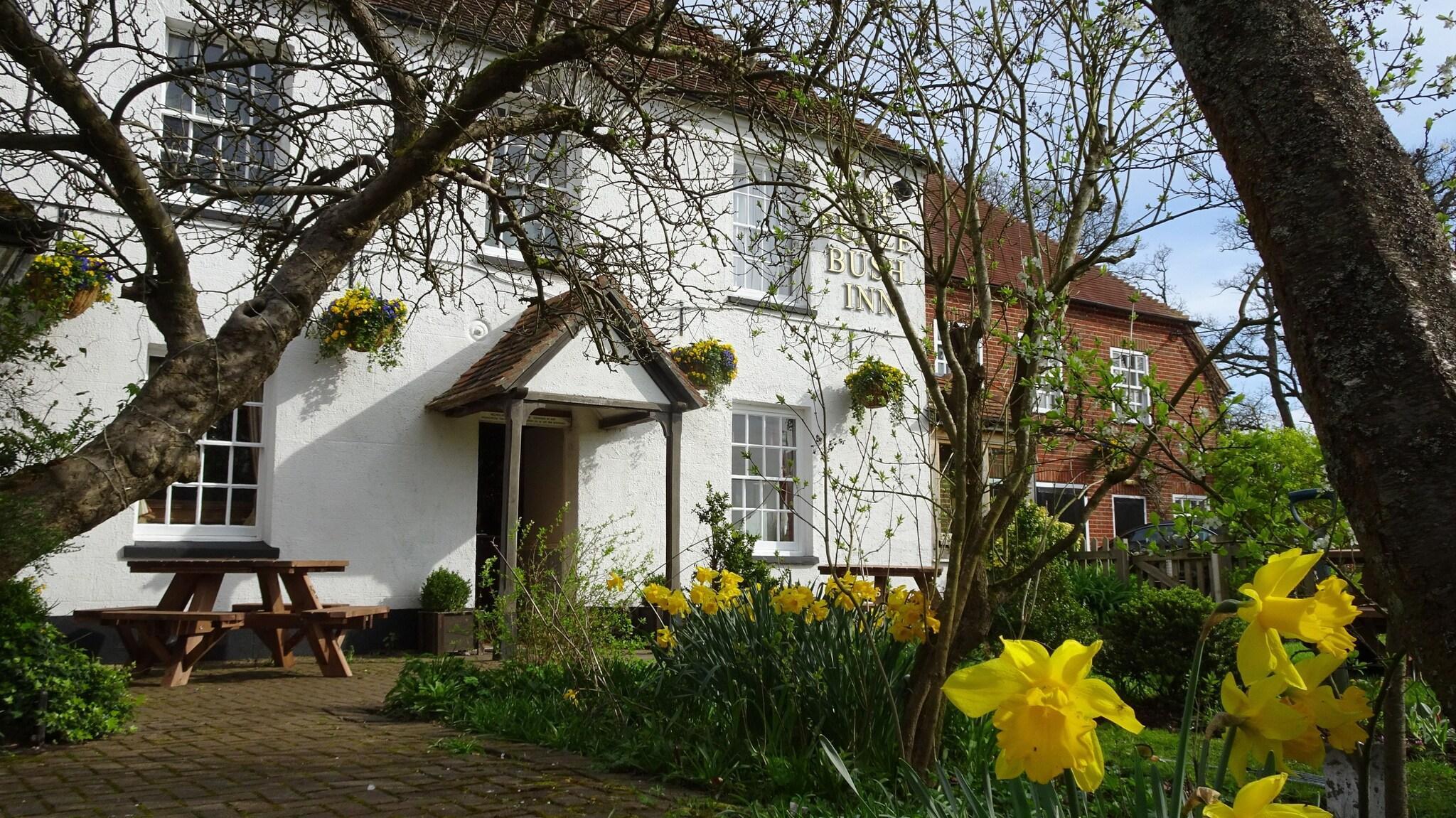 Vista Exterior The Furze Bush Inn
