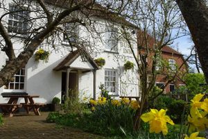 Alojamiento - The Furze Bush Inn