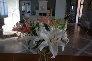 Alojamiento - Hotel Santa Cristina