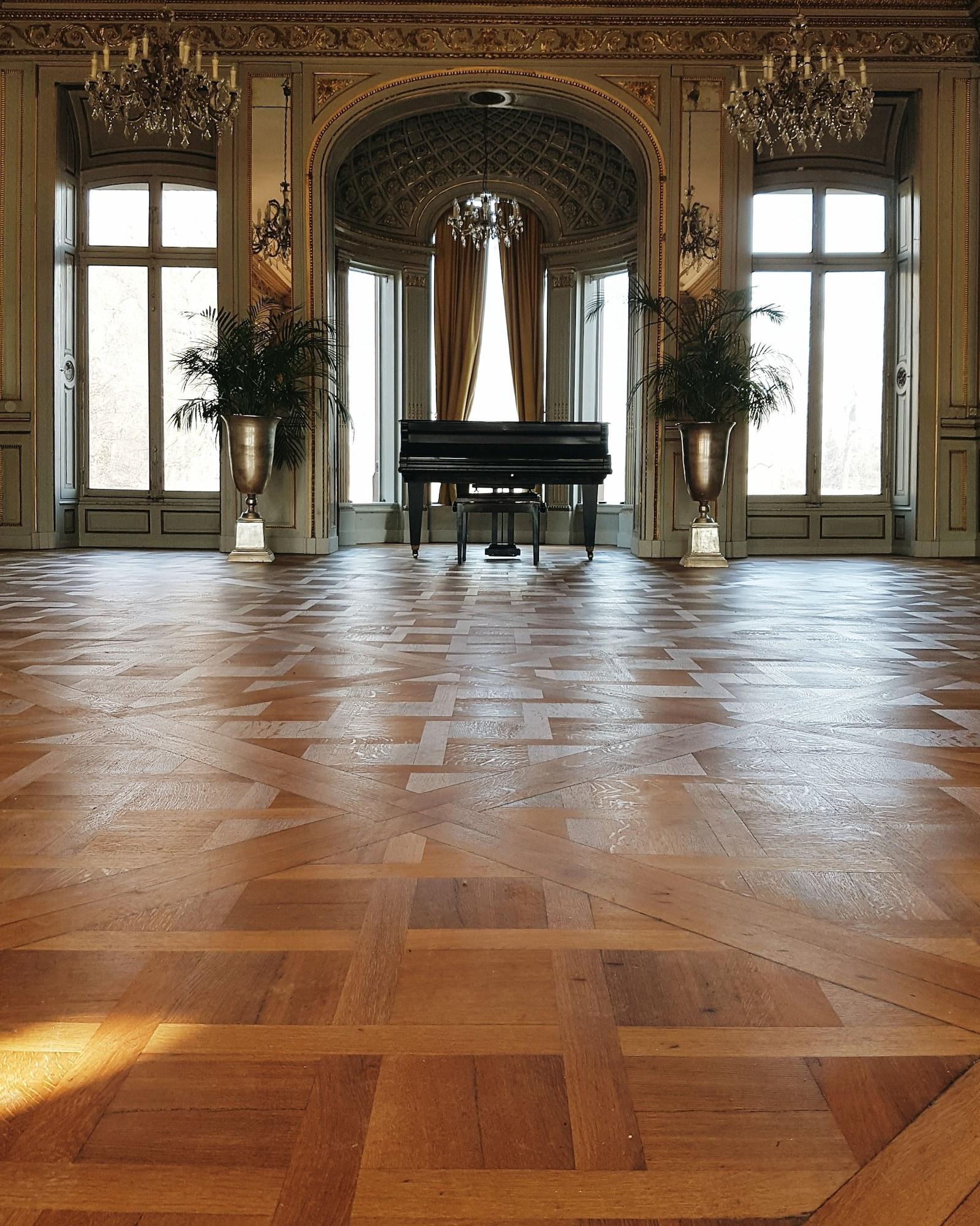 Salón de Baile Château de Pourtalès
