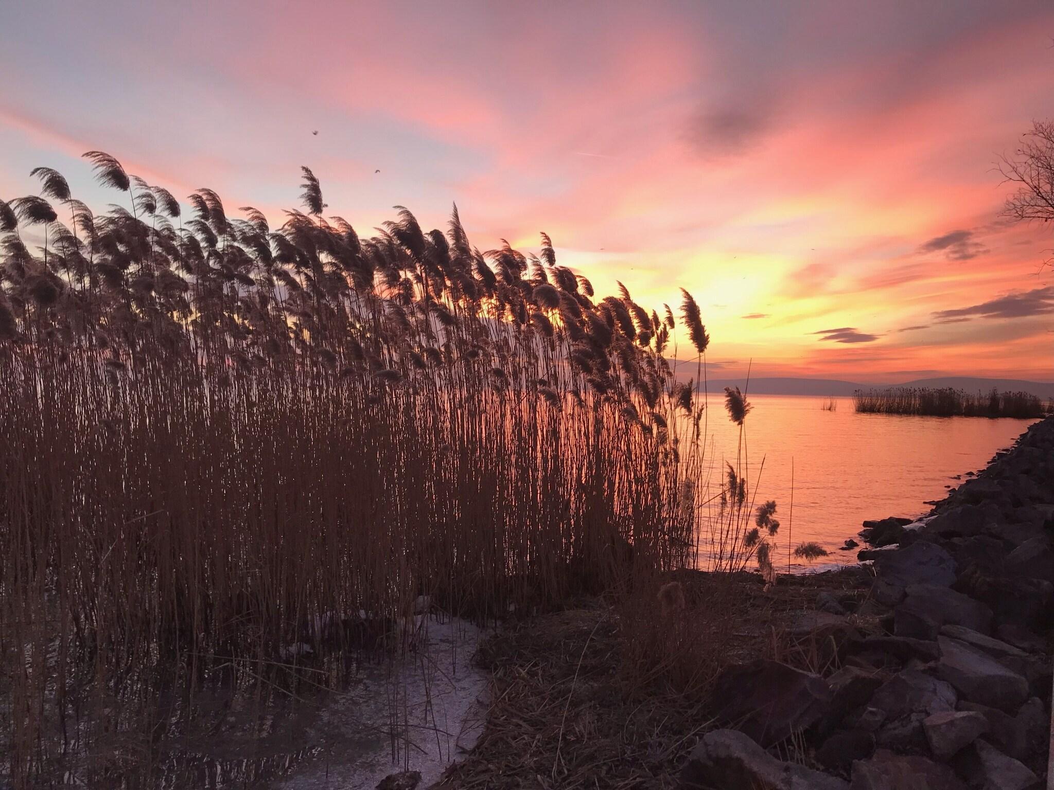 Playa Hotel Marina Port