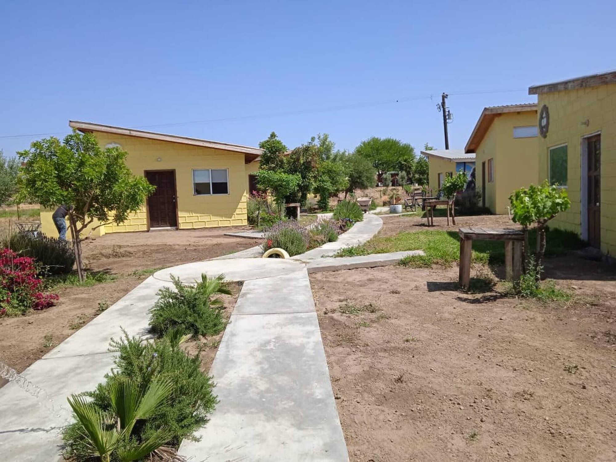 Comodidades del Alojamiento El Mezquite Hotel Mexicano Hab 1 la Catrina
