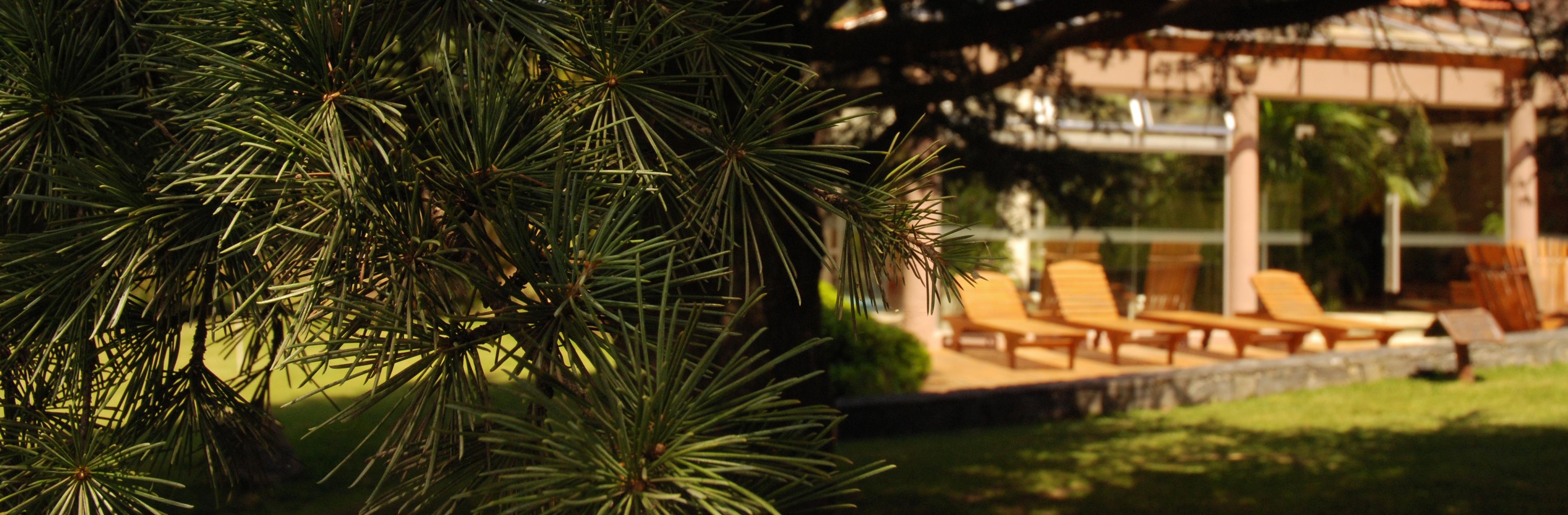 Comodidades del Alojamiento Berna Hotel & Spa