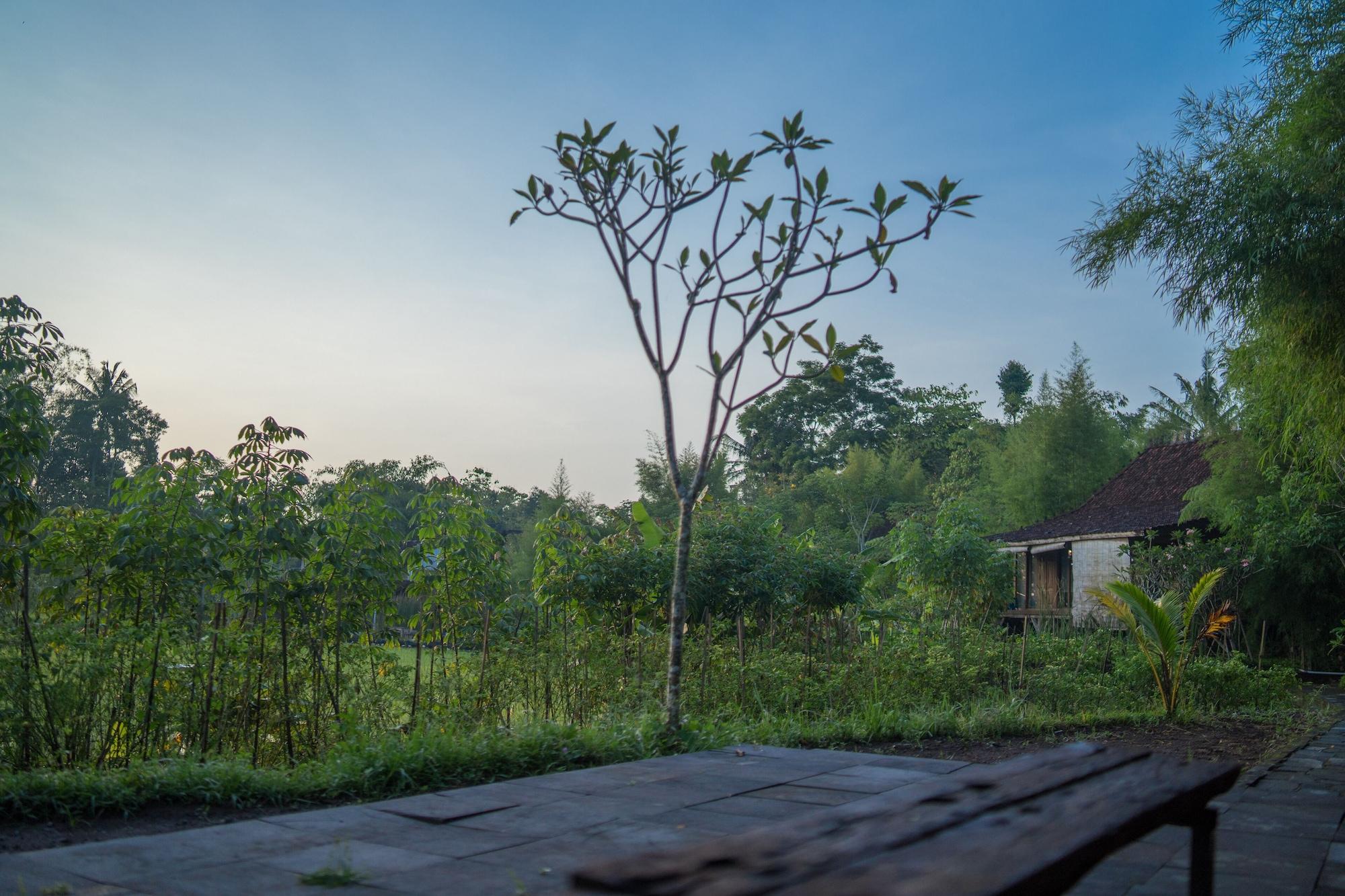 Equipamiento de Habitación Rumah Jembarati