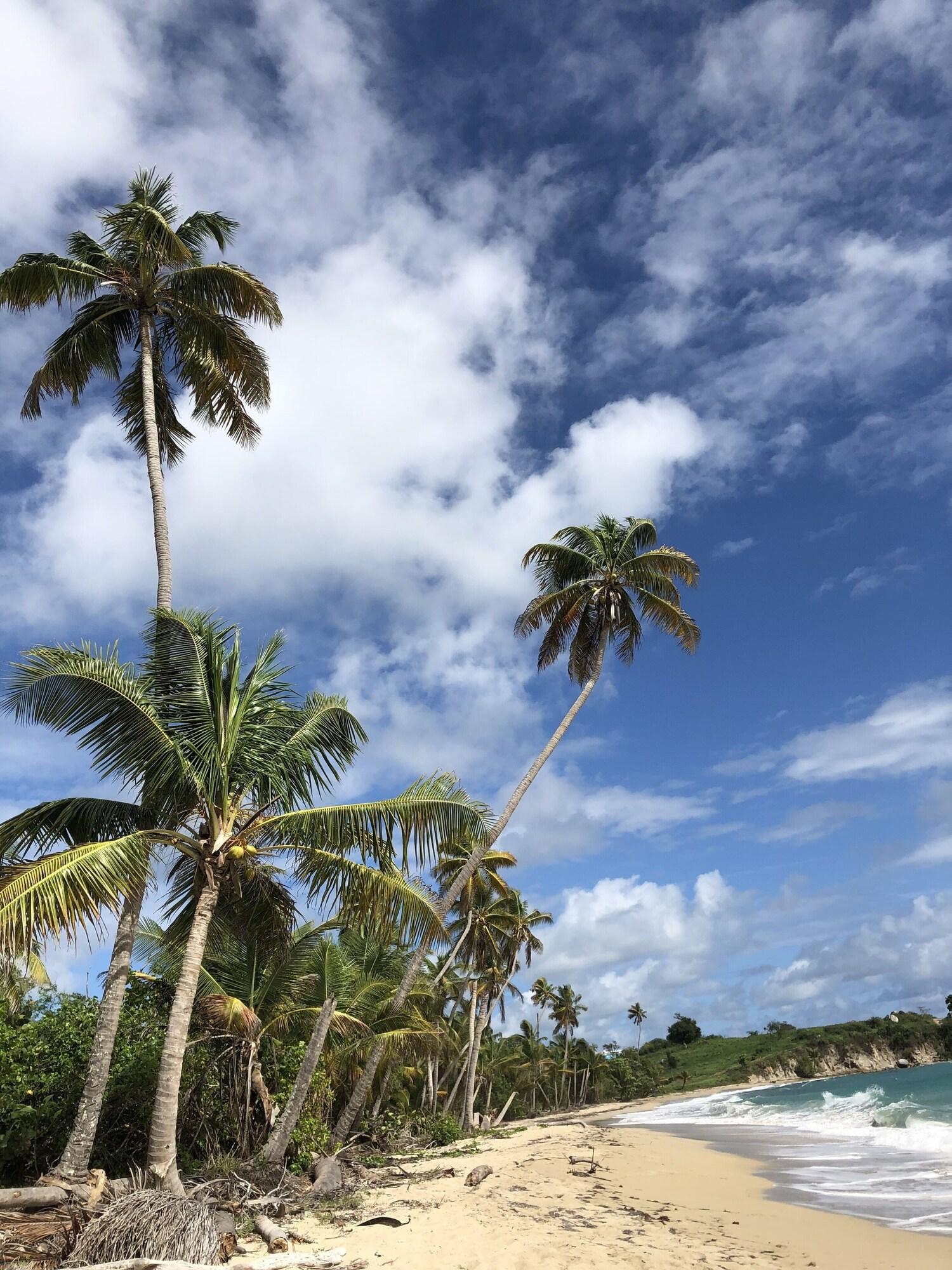 Playa Blue Horizon Boutique Resort - Adults Only