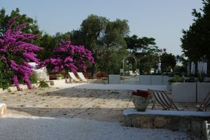 Alojamiento - Ulivi Al Sole - Charming B&B