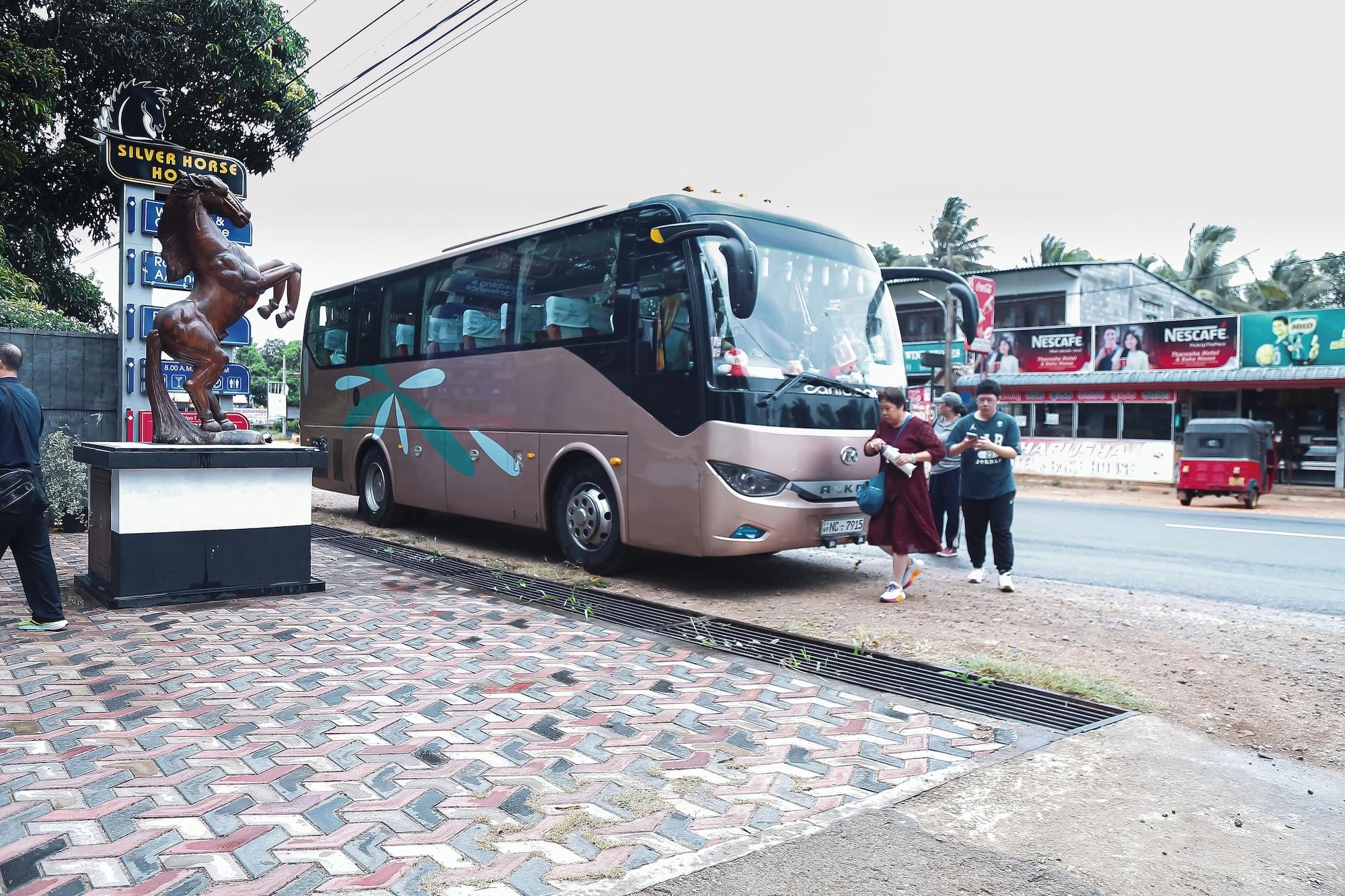 Vista Exterior Hotel Silver Horse Dambulla